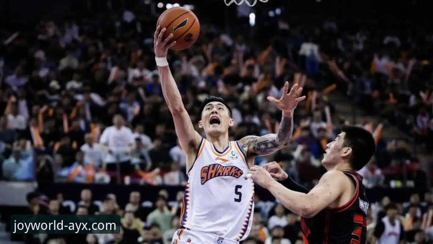 上海男篮十二连胜背后的战术体系与联盟格局深度解析